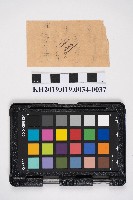 簿本藏品圖，第74張