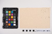 大正三年七月起 物品交換賣買簿 蕃產物交換業 洪見濤藏品圖，第11張