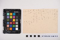 大正三年七月起 物品交換賣買簿 蕃產物交換業 洪見濤藏品圖，第13張