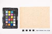 大正三年七月起 物品交換賣買簿 蕃產物交換業 洪見濤藏品圖，第20張