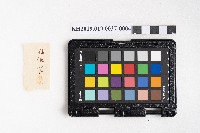 自昭和十二年至昭和十六年七月 日清 洪稇源藏品圖，第7張