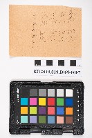 中心崙蕃人採籐之帳藏品圖，第3張