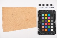 中心崙蕃人採籐之帳藏品圖，第20張