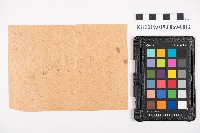 中心崙蕃人採籐之帳藏品圖，第25張