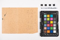 中心崙蕃人採籐之帳藏品圖，第26張