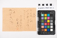 中心崙蕃人採籐之帳藏品圖，第45張