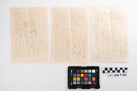 契約證藏品圖，第2張