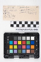 租屋收帳帳本藏品圖，第11張