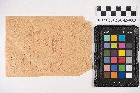 土地交易印紙稅及代書料備忘錄藏品圖，第6張