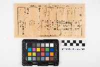 藥材購買仕切書、請求書與藥價計算書藏品圖，第1張