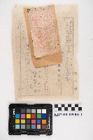 官有森林產物賣渡契約書及領收證藏品圖，第2張