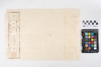 地基稅領收證藏品圖，第8張