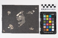 周蘭與其家人於家中中庭合影藏品圖，第2張