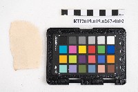 《日臺會話大全》藏品圖，第4張