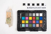 《日臺會話大全》藏品圖，第5張