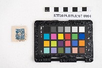 《日臺會話大全》藏品圖，第7張