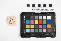 《日臺會話大全》藏品圖，第8張