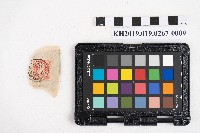 《日臺會話大全》藏品圖，第17張