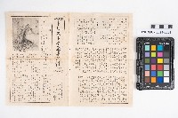 《トルストイ全集》的圖片