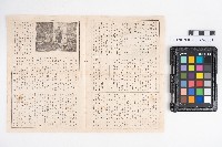 《トルストイ全集》藏品圖，第2張