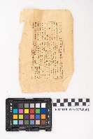 《實驗養豚全講》藏品圖，第1張