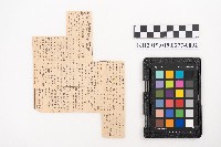 《實驗養豚全講》藏品圖，第3張