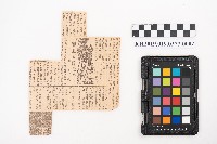 《實驗養豚全講》藏品圖，第4張