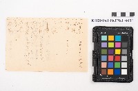 《新植物圖說》藏品圖，第2張