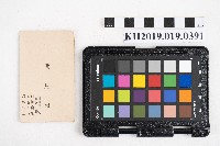 洪見濤名片藏品圖，第1張