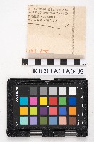 〈不法地主營造商人合夥建屋出售 涉嫌逃稅漏稅經市民檢舉昨移送偵辦〉藏品圖，第2張