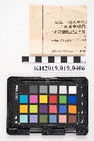 〈土地增值稅基數 每年按照物價指數調整〉藏品圖，第2張