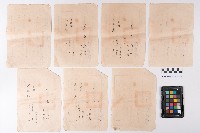 臺灣省高雄市前金區公所人民印鑑證明書藏品圖，第2張