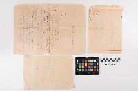 洪周蘭向稅捐處提請聲請書望准予暫緩繳納地價稅藏品圖，第2張