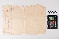 大港地區地圖謄本藏品圖，第6張