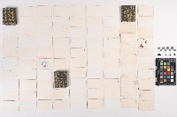 東京博覽會カード藏品圖，第2張