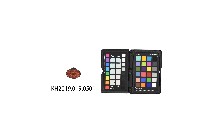 洪稇源店舖章藏品圖，第1張