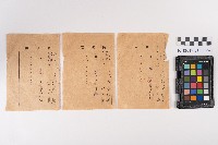 公學校、小學校繳費領收證藏品圖，第7張