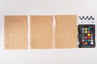 公學校、小學校繳費領收證藏品圖，第8張