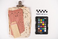 繳稅領收證藏品圖，第1張