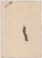 借地領收書綴藏品圖，第21張