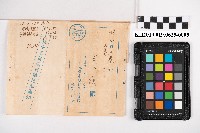 周蘭振替儲金受入報告書、拂込通知書藏品圖，第9張