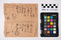 特殊通常小包郵便物受領證藏品圖，第1張