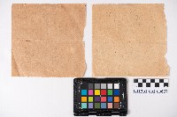 特殊通常小包郵便物受領證藏品圖，第6張