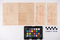 阿緱教育購買部領收證及匯款領收證藏品圖，第8張