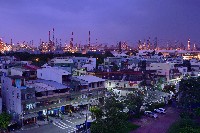 大林蒲-4藏品圖，第1張