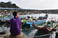 大林蒲西南瘋音樂祭宣傳藏品圖，第1張
