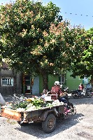 大林蒲－菜攤-1藏品圖，第1張