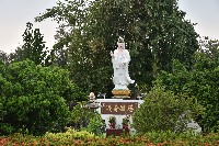 大林蒲－南星計畫區觀音像-1藏品圖，第1張