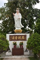 大林蒲－南星計畫區觀音像-2藏品圖，第1張