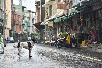 大林蒲—雨天街道藏品圖，第1張